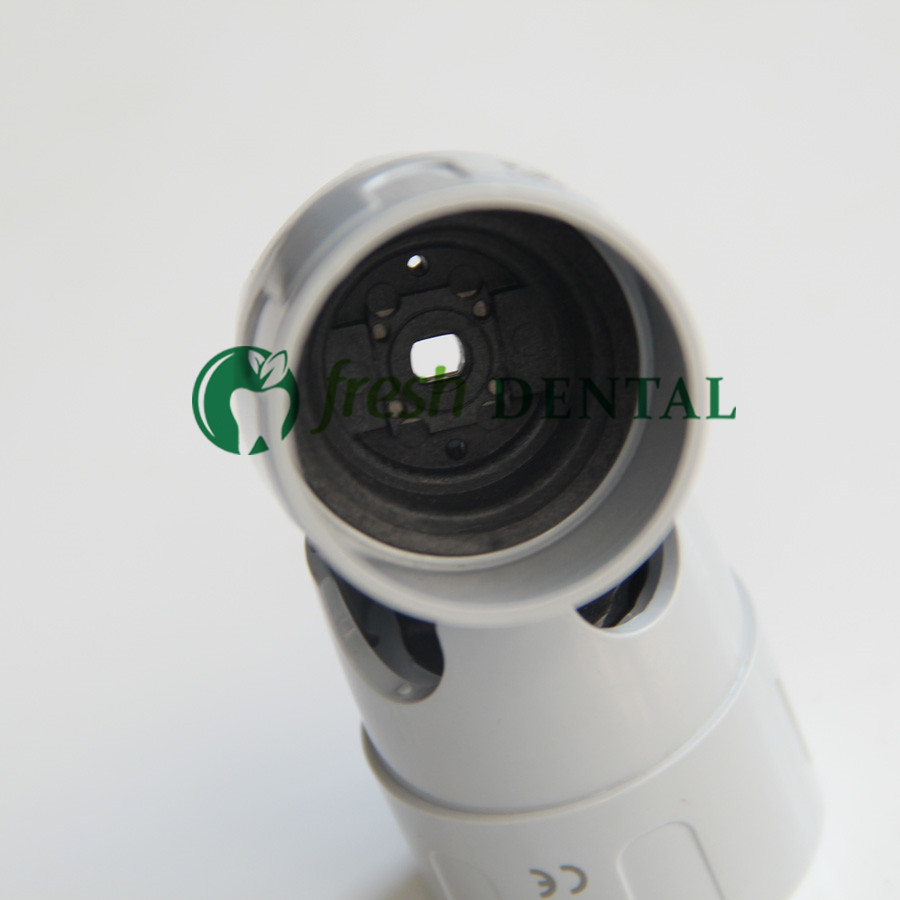Dental Scaler Ultrasonic - 5PCS Dental Ultraschall Scaler Tipps Drehmomentschlüssel