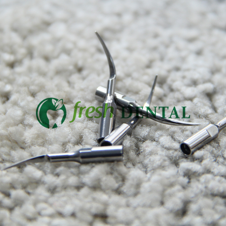 5 Stück PD1 Perio Ultraschall- – Dental Scaler Ultrasonic Bewertung und Preis