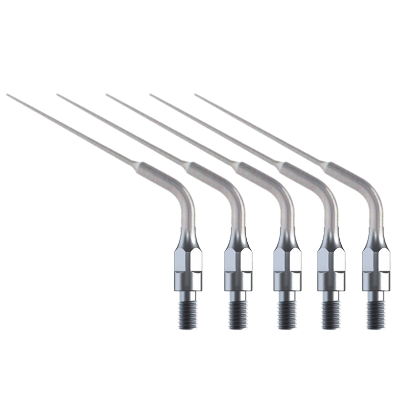 5 Stück Dental-Endodontie Ultr – Dental Scaler Ultrasonic Bewertung und Preis