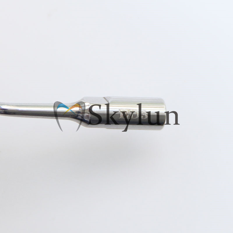 5PCS Dental Ultraschall Scaler – Dental Scaler Ultrasonic Bewertung und Preis