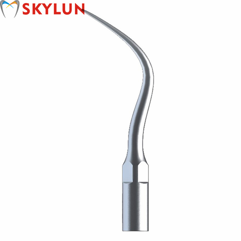 5 Stück P4 Dental Ultraschall- – Dental Scaler Ultrasonic Bewertung und Preis